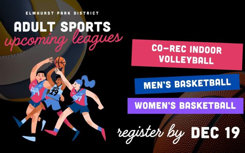 Adult Sports Leagues