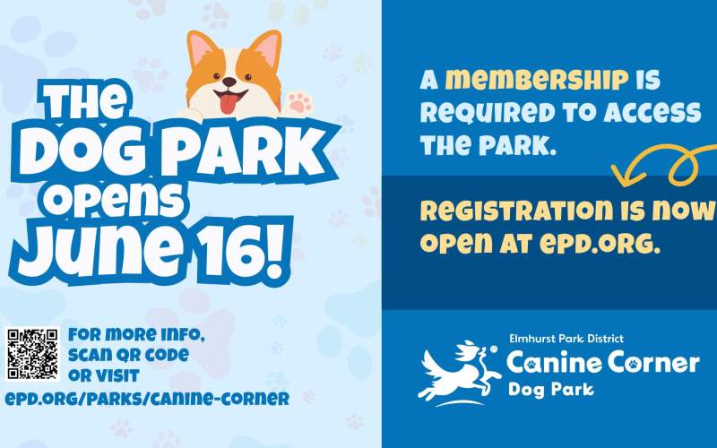 Dog Park