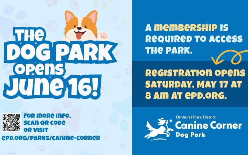 Dog Park