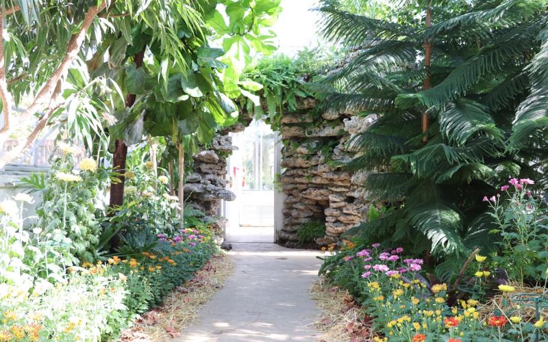 Wilder Park Conservatory