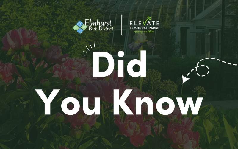 Referendum Updates | Elmhurst Park District