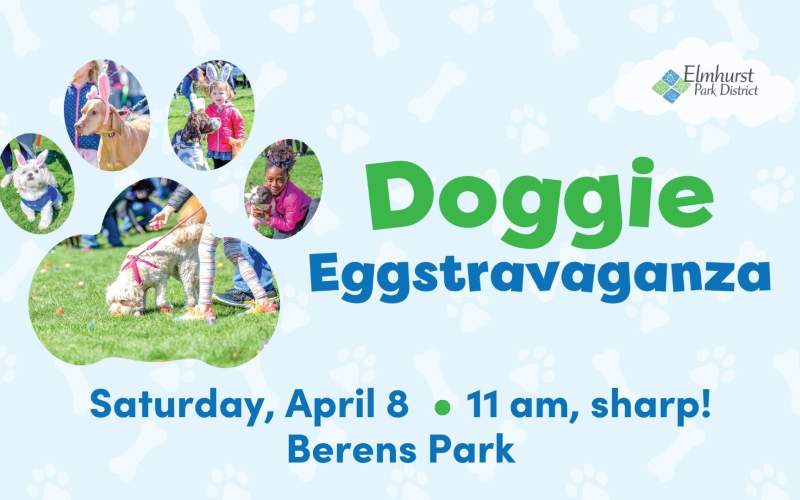 egg hunt