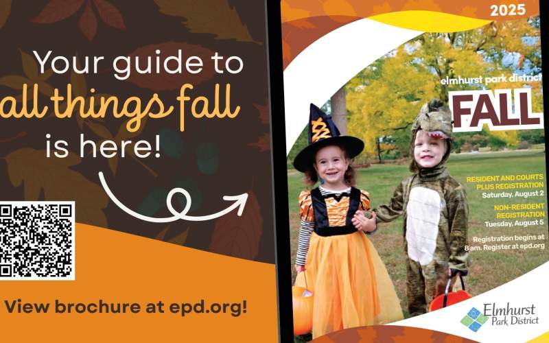 Fall Brochure now available