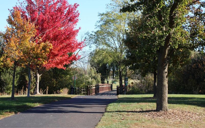 An empty park trail curves through green lawns lined with tall trees, including one bright red-leaved tree in the foreground.