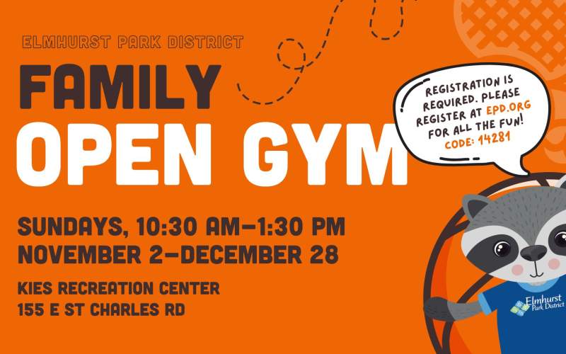 Family Open Gym