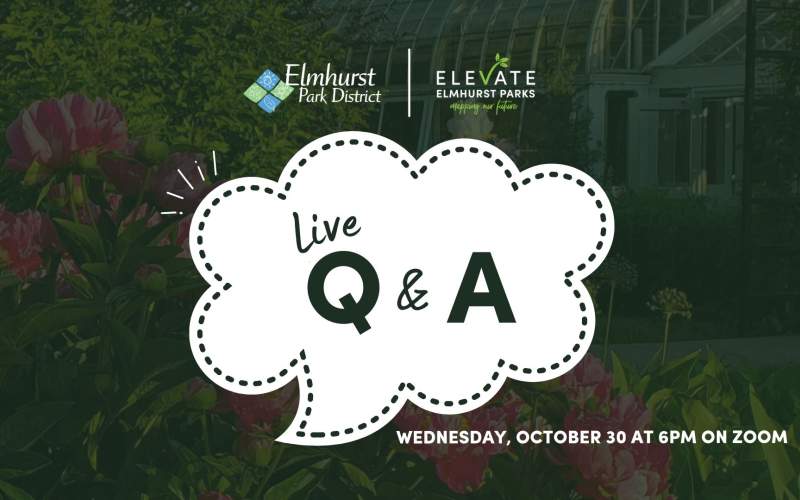 October 30 Live Q&A
