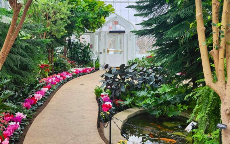 Wilder Park Conservatory