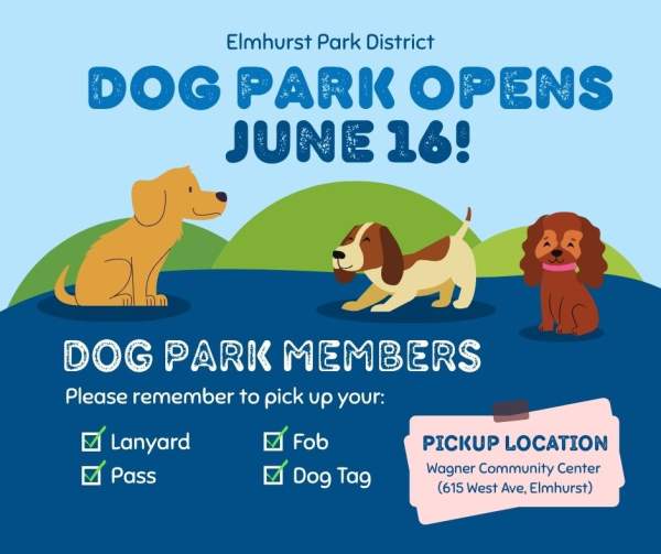Dog Park items