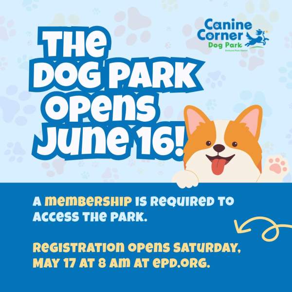 Dog Park