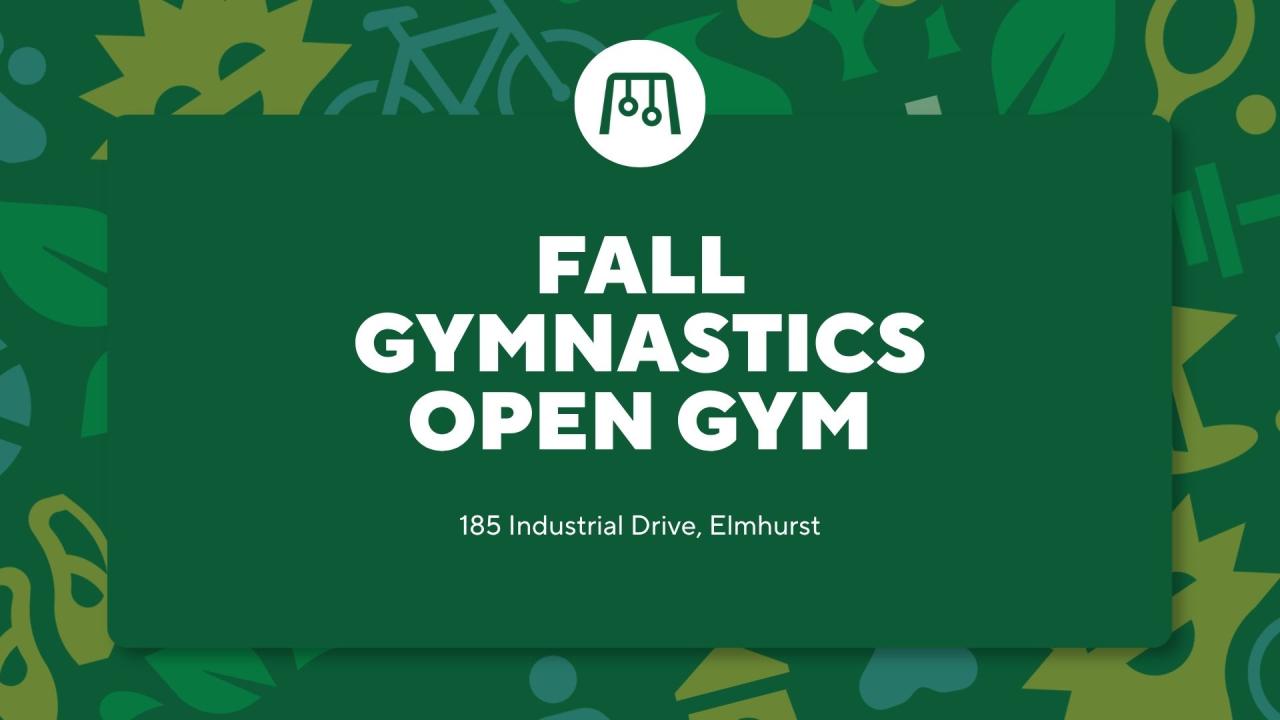 Gymnastics Open Gym this fall