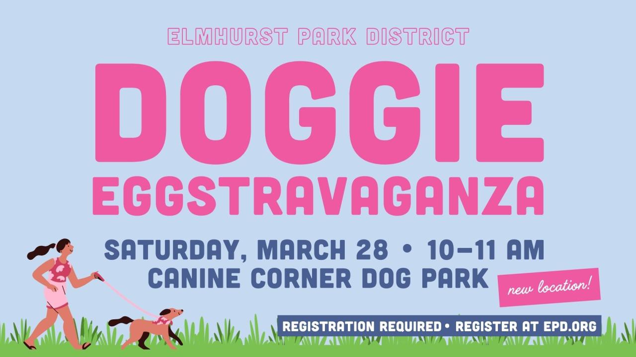 Dog Egg Hunt