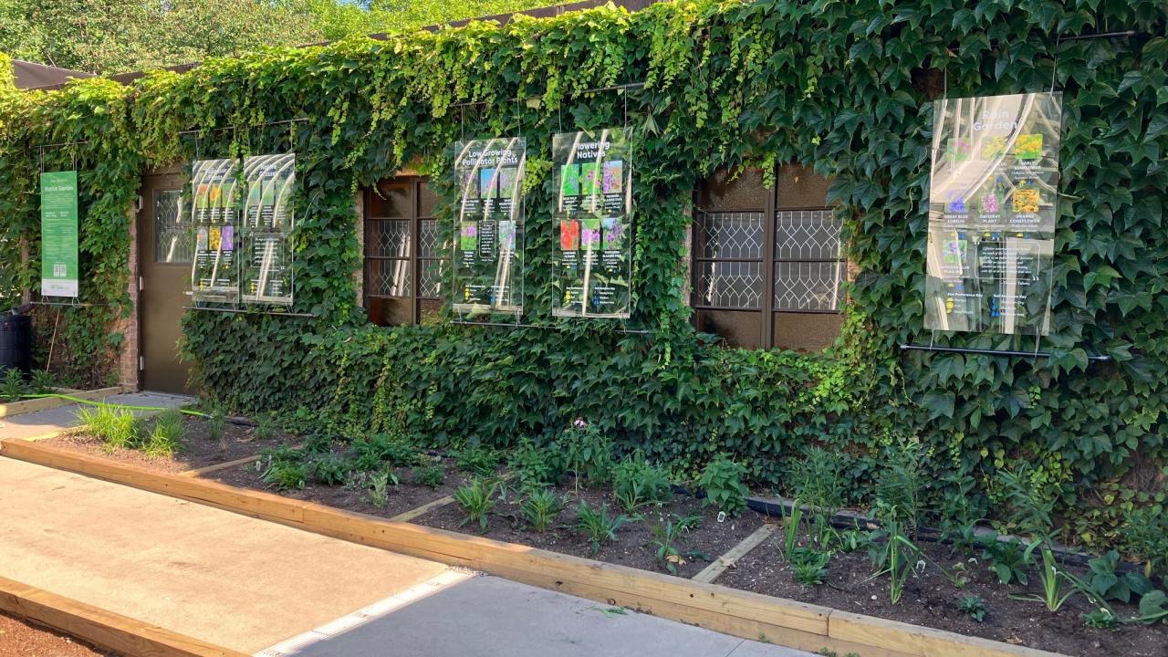 native garden in Wilder Park