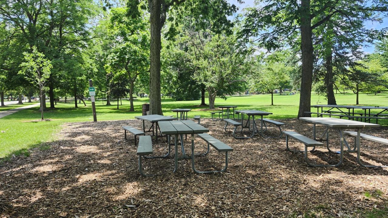 Wilder Park picnic area