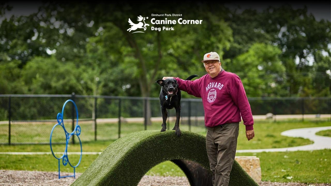 A person in a maroon sweatshirt and a baseball cap stands next to a black dog on an agility ramp in a park.