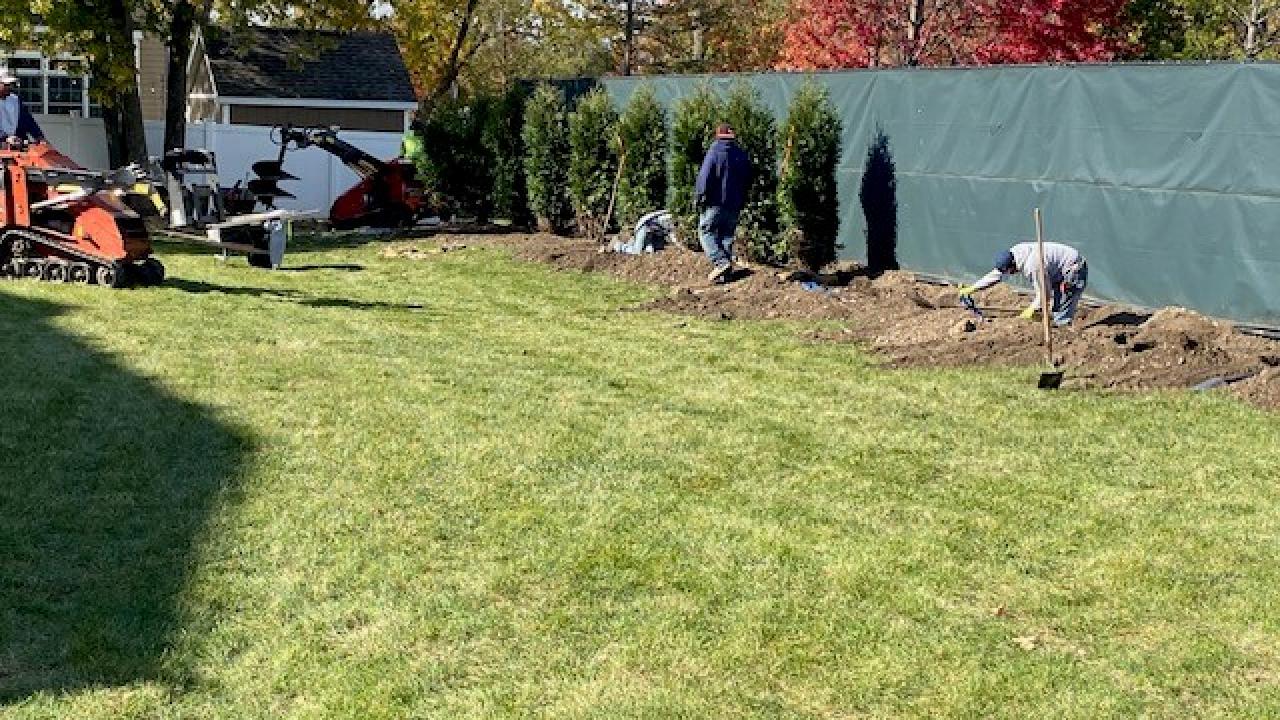 Crestview Park tree plantings