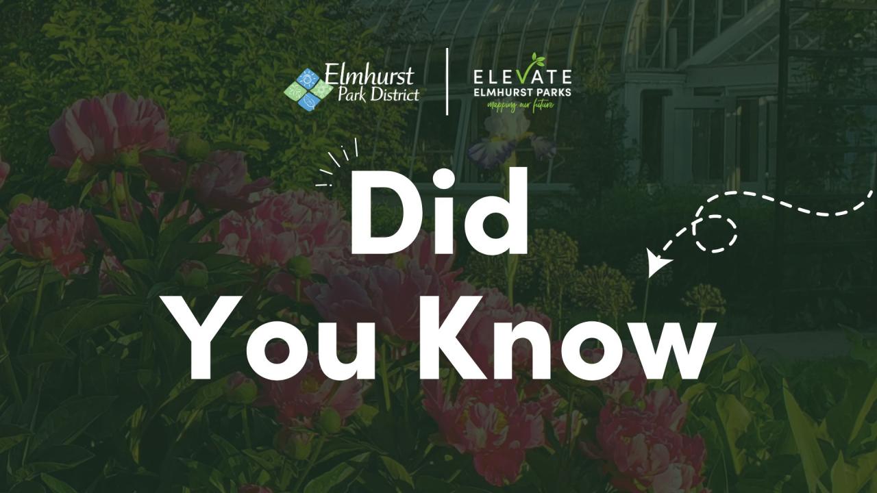 Did You Know