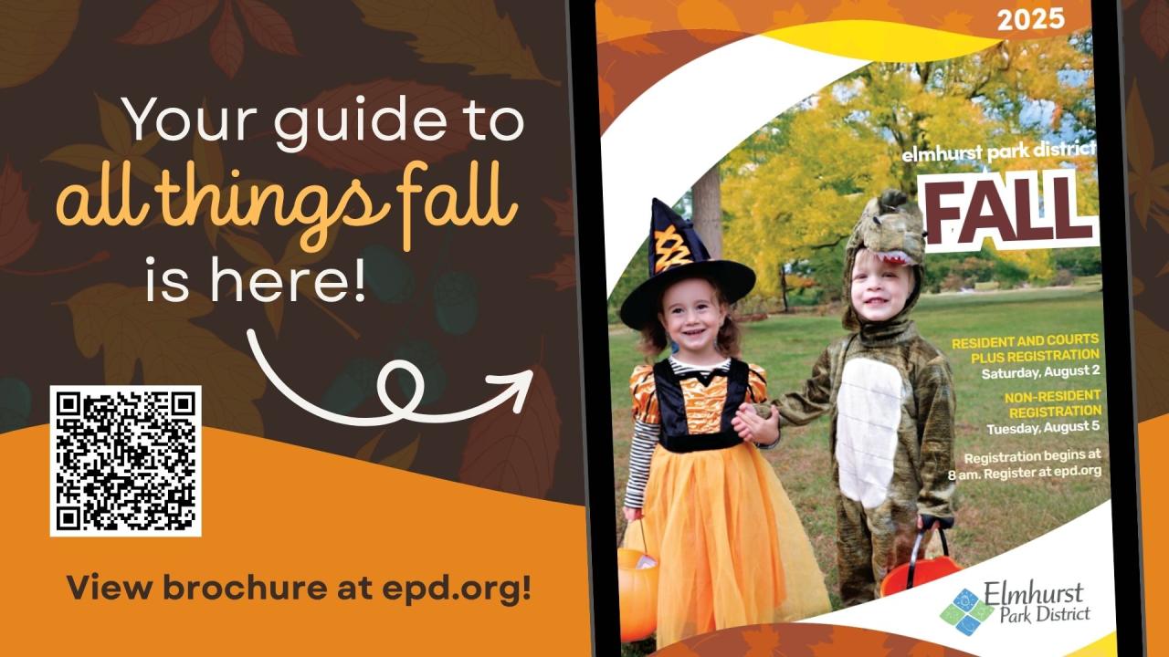 Fall Brochure now available