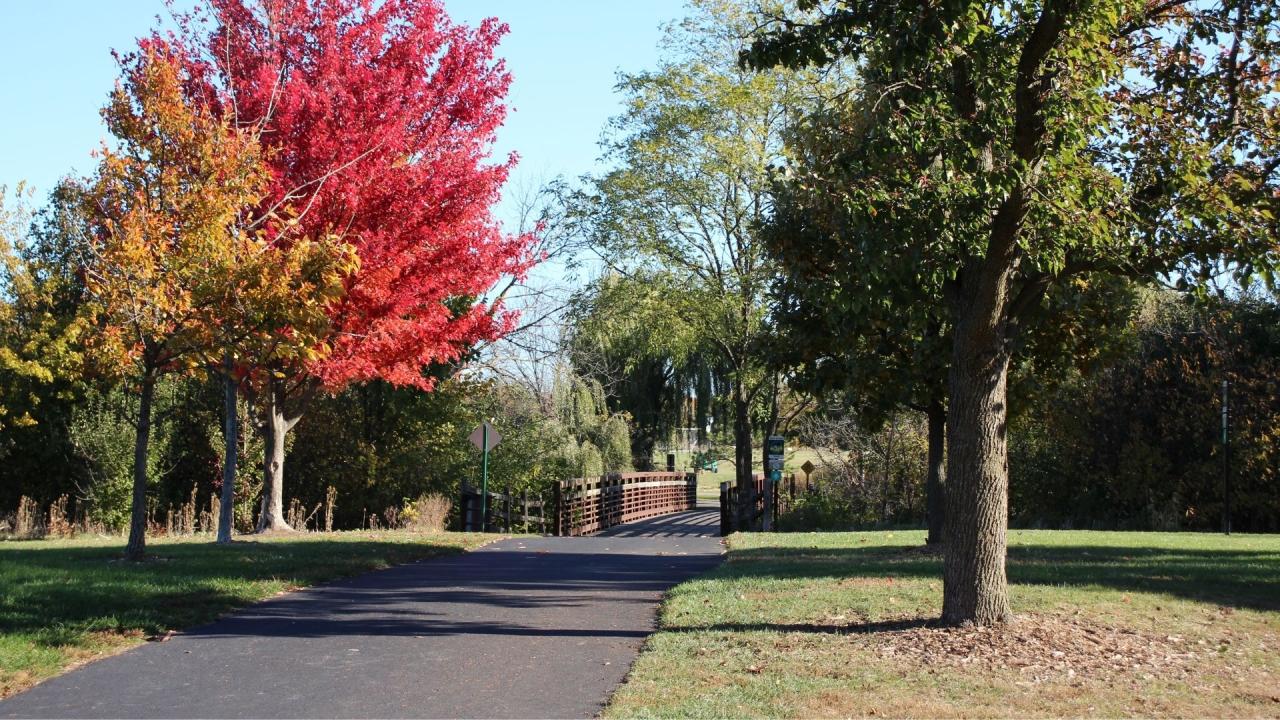 An empty park trail curves through green lawns lined with tall trees, including one bright red-leaved tree in the foreground.