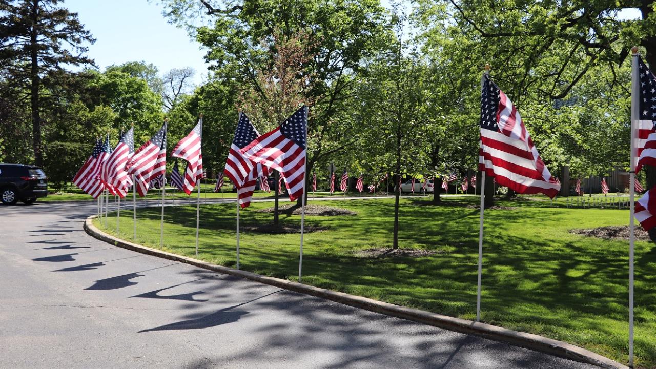flag display