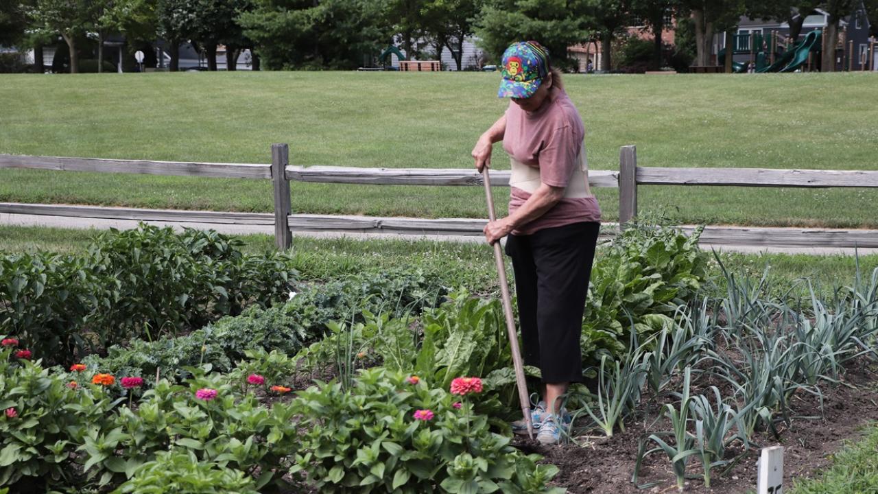 Garden Plots