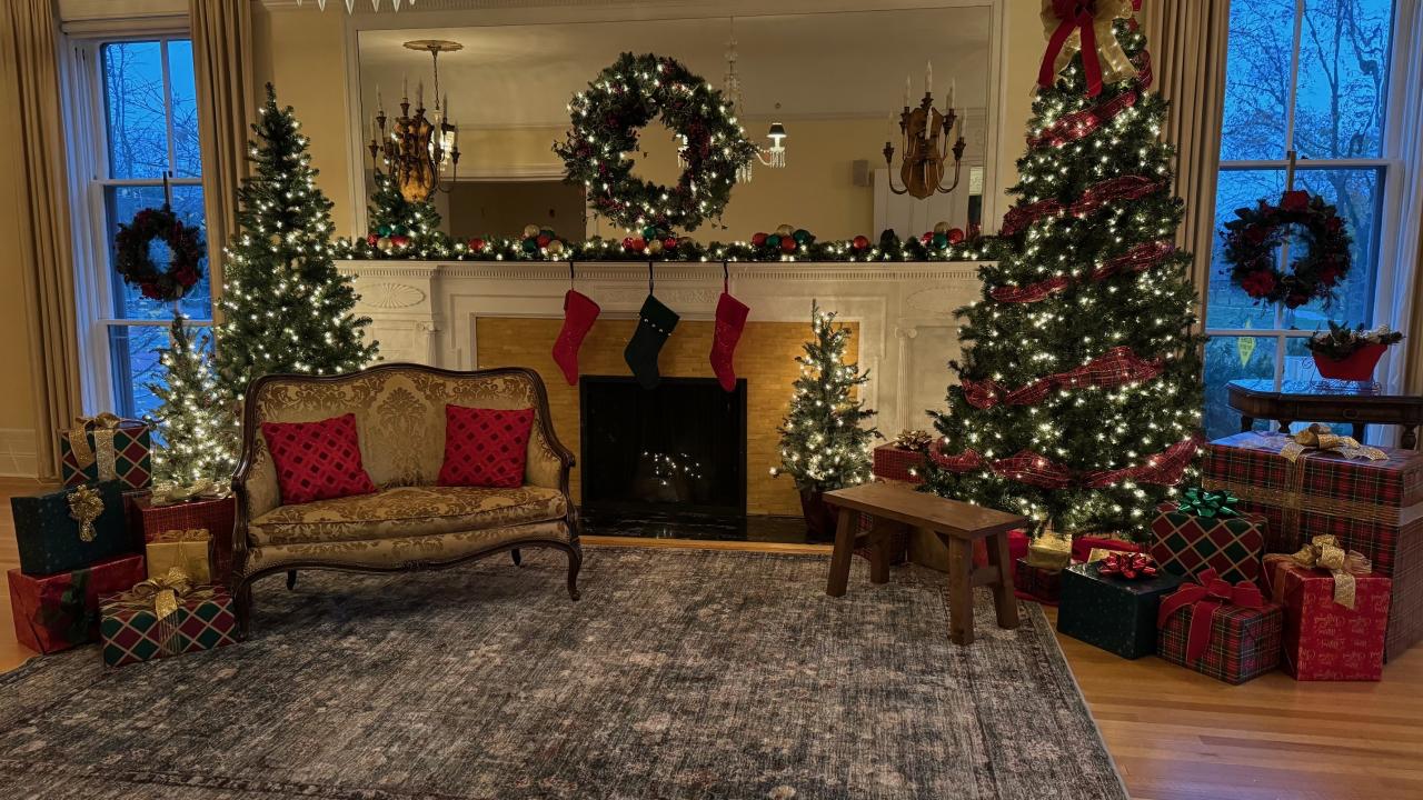Holiday backdrop