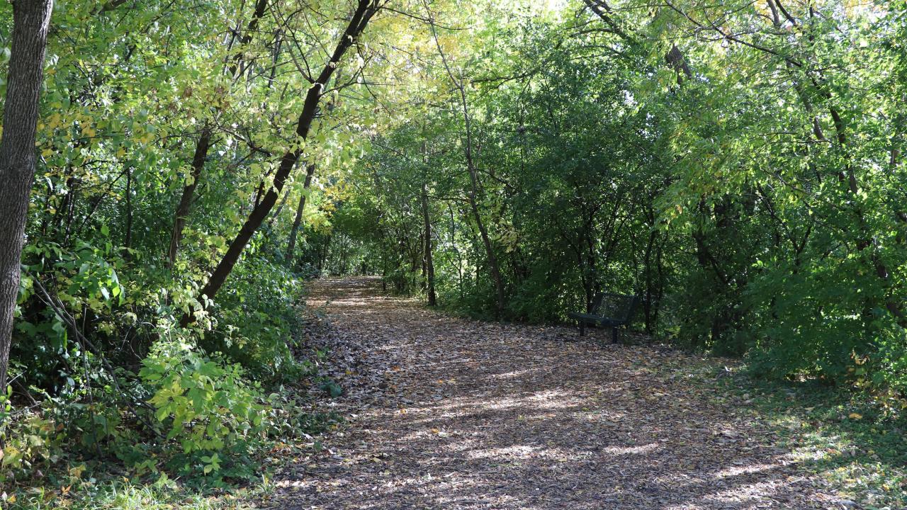 Maple Trail Woods, Elmhurst, IL
