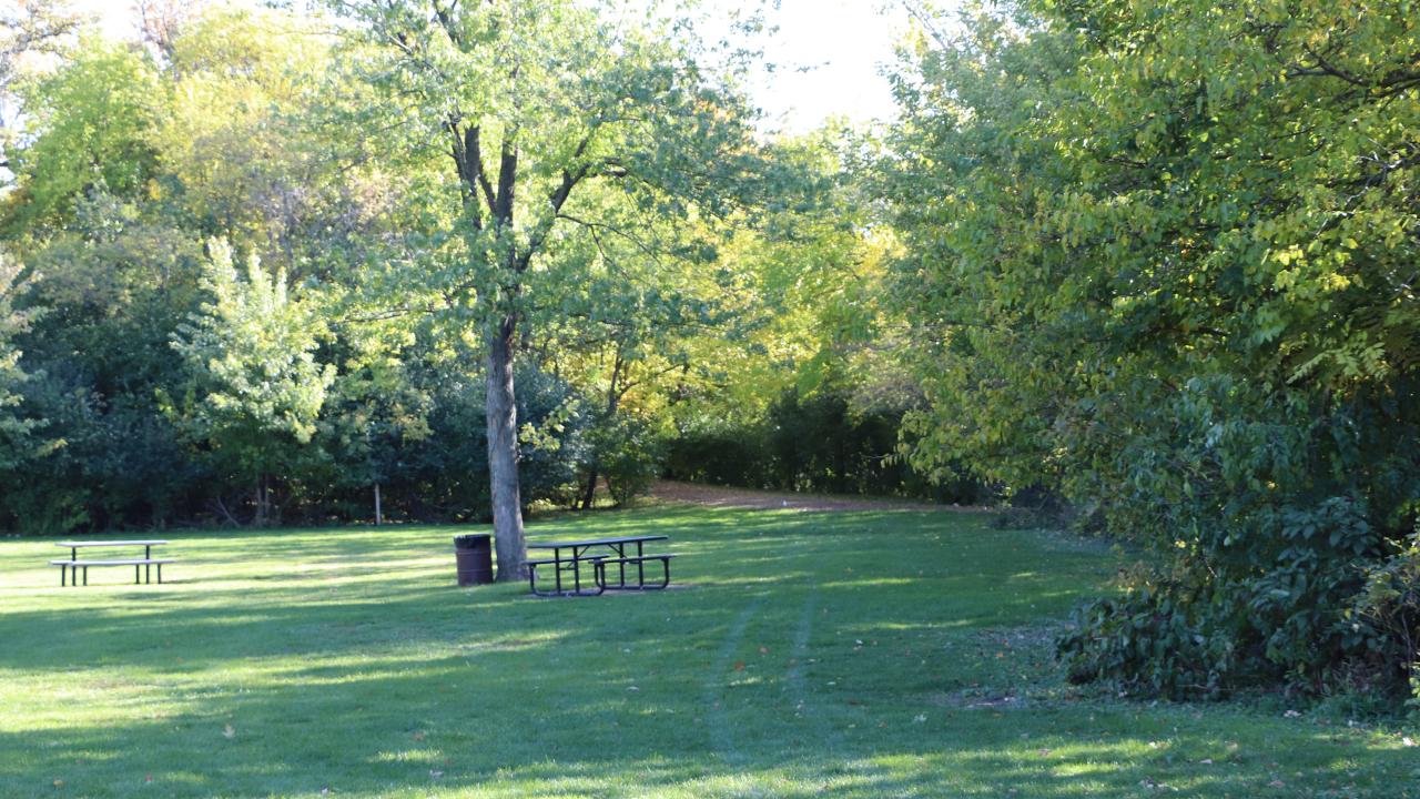 Maple Trail Woods, Elmhurst, IL