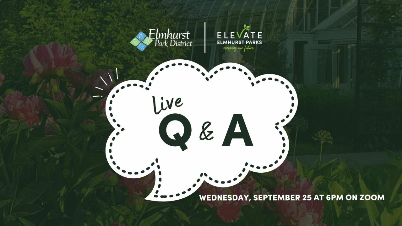 Live Q&A