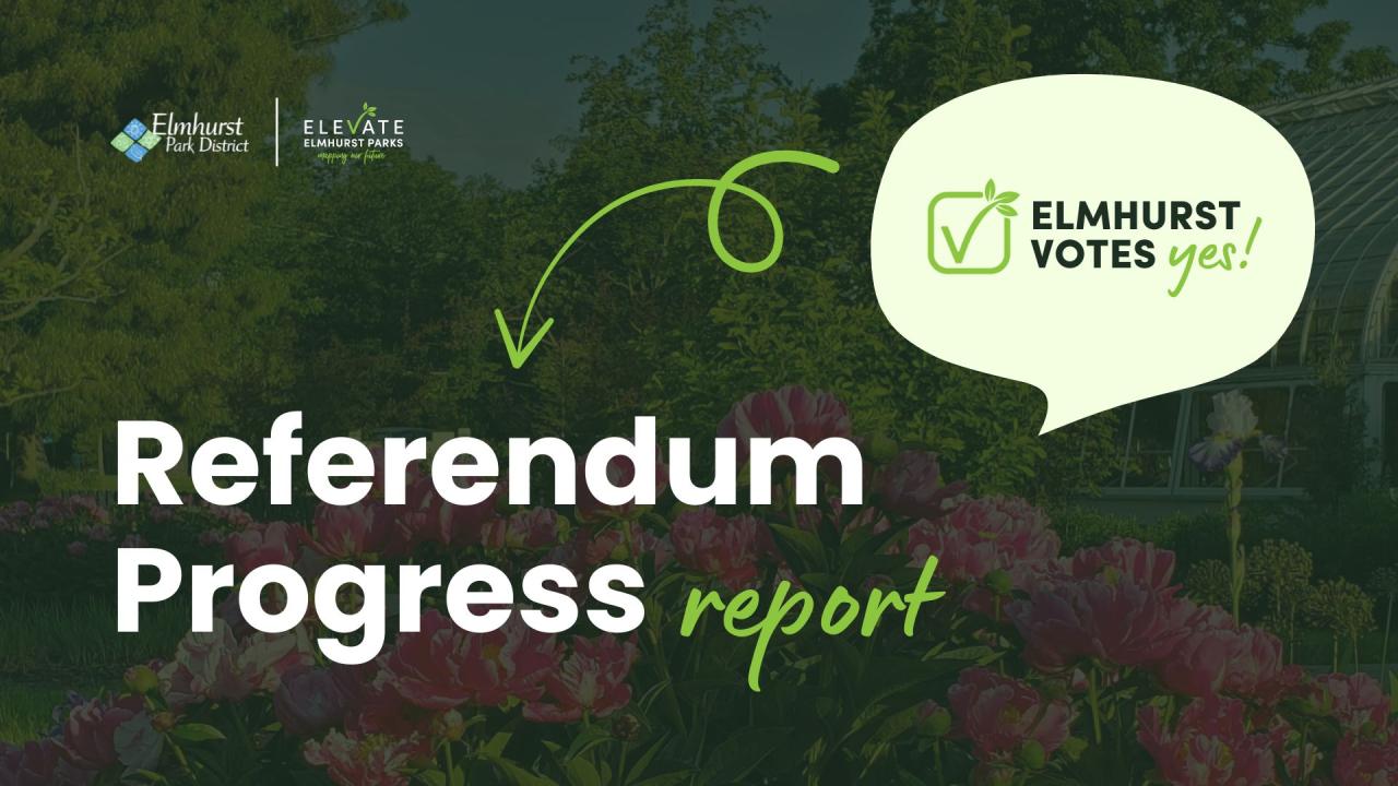 Referendum Progress Report