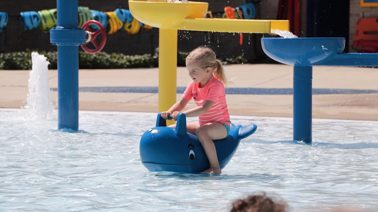 Norman P. Smalley Pool whale