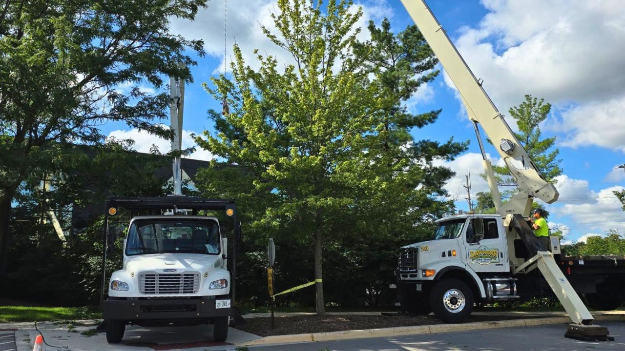 Landscape renovations in progress at Courts Plus