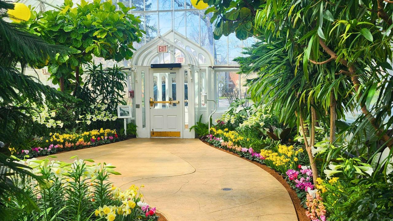Wilder Park Conservatory’s annual Flower Show