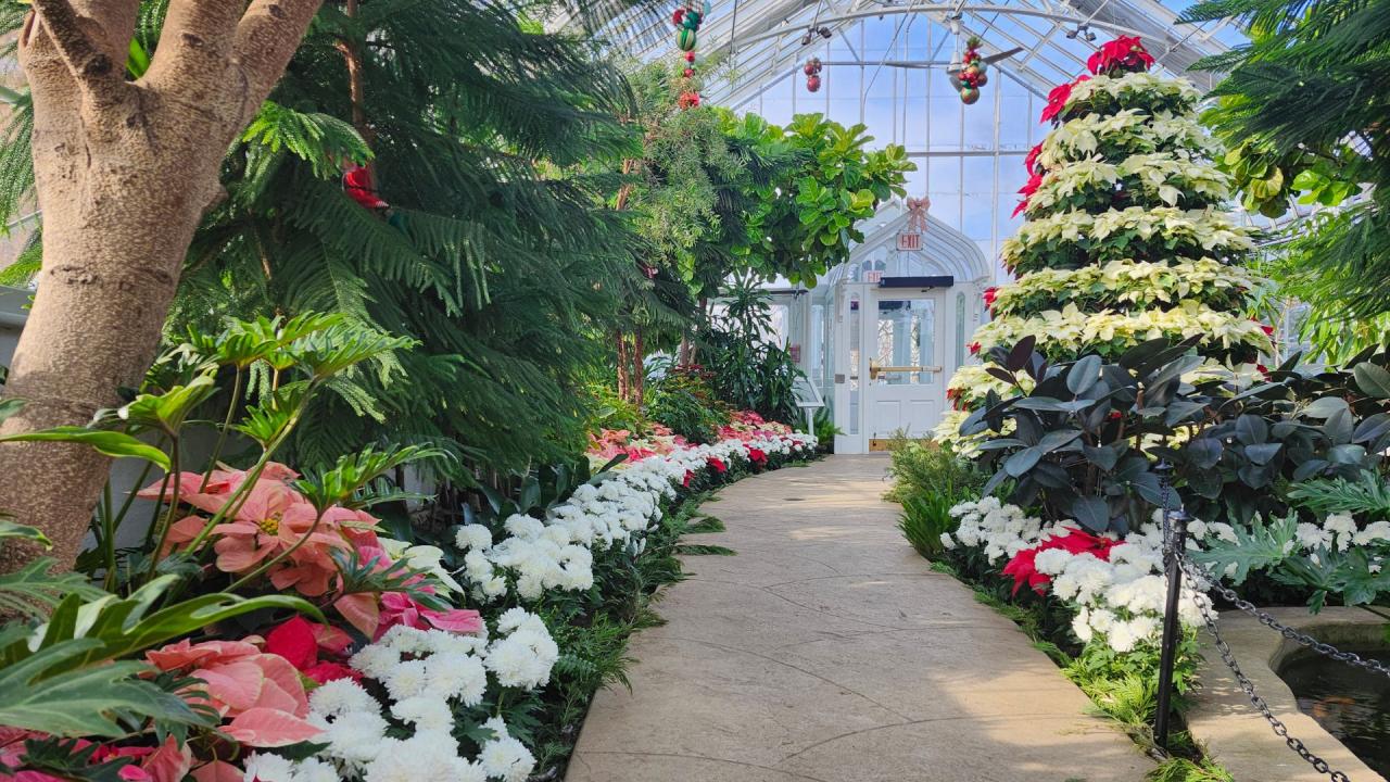 Holiday Flower Show
