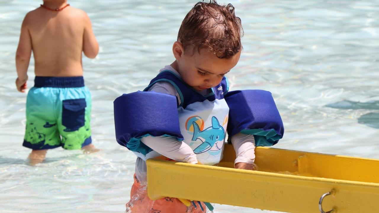 Norman P. Smalley Pool toys