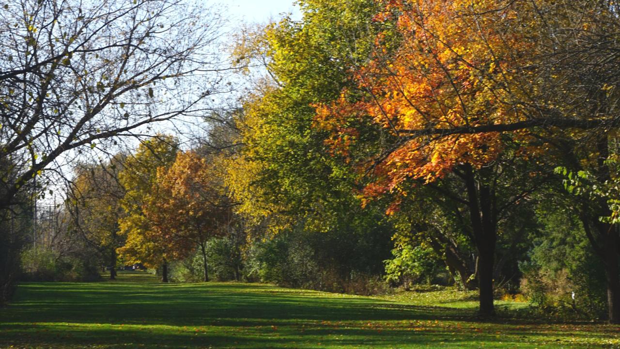 Wild Meadows Park Elmhurst, IL