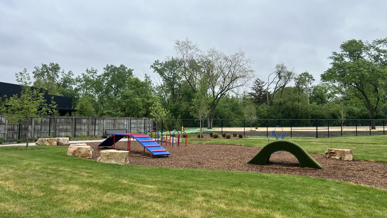 Dog Park features Dog Park