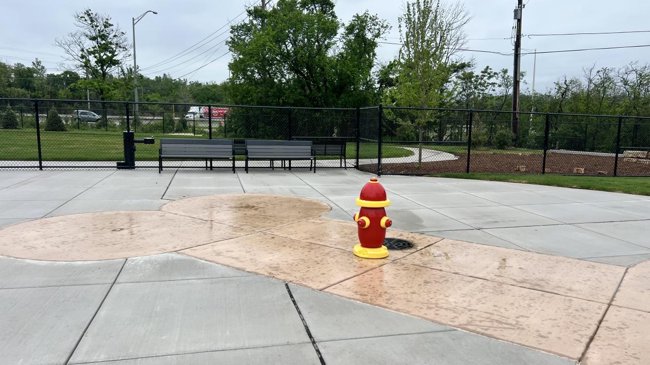 Dog Park splash pad Dog Park