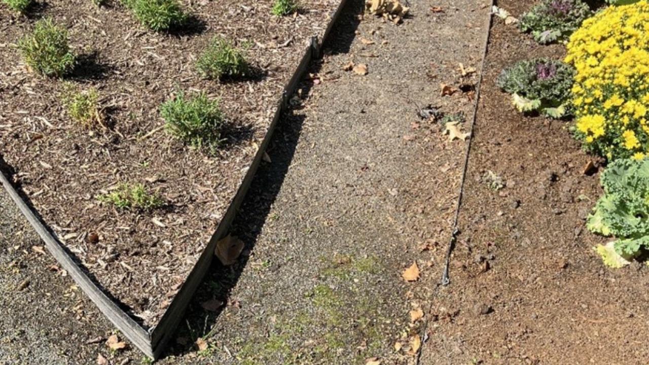 Current Wilder Mansion Garden Path and Bed Improvements